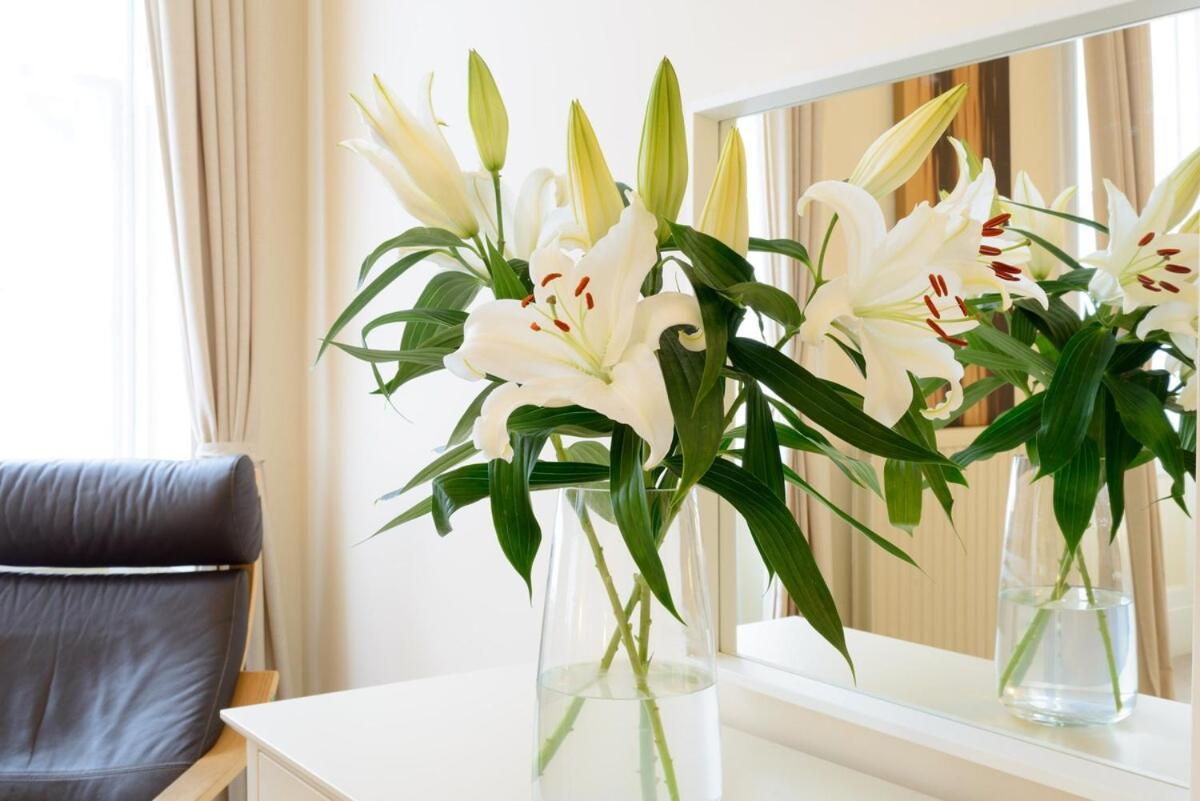 Beautiful Georgian 2 Bedroom Flat Apartment Edinburgh
